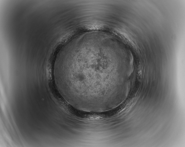 X0000096950547200802221324