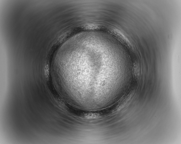 X0000096950549200802221324