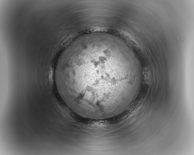 X0000096950550200802221324