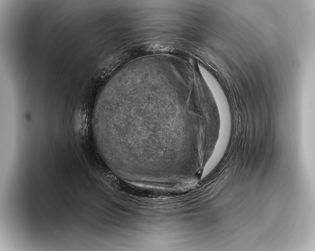 X0000096950551200802221324