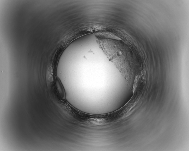 X0000096950552200802221324