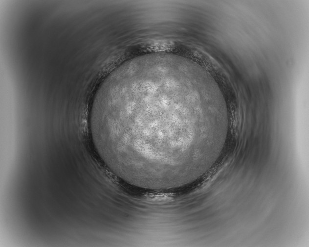X0000096950553200802221324