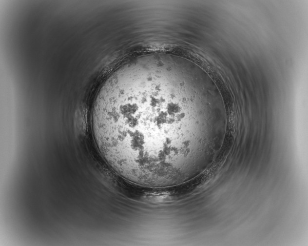 X0000096950554200802221324