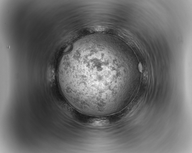 X0000096950555200802221324