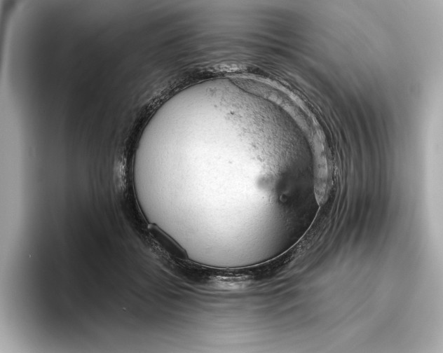 X0000096950556200802221324