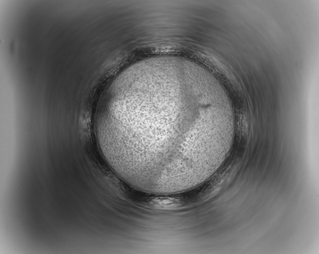 X0000096950557200802221324
