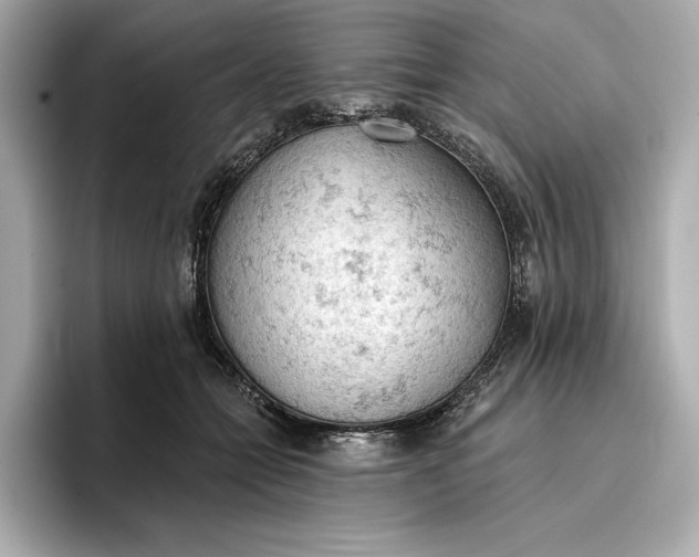 X0000096950558200802221324