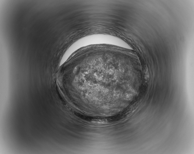 X0000096950559200802221324