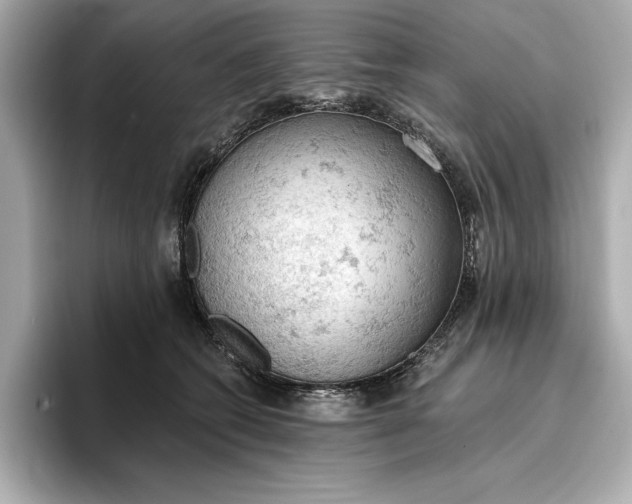 X0000096950562200802221324