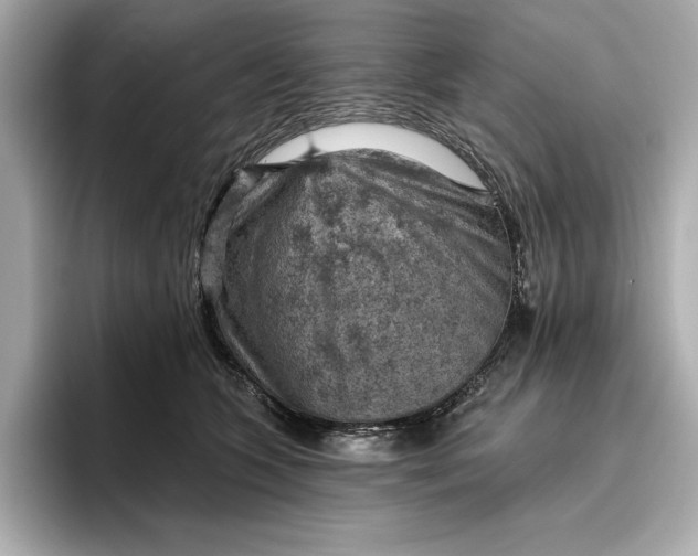X0000096950563200802221324