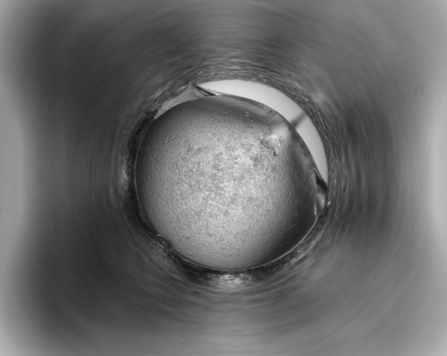 X0000096950566200802221324
