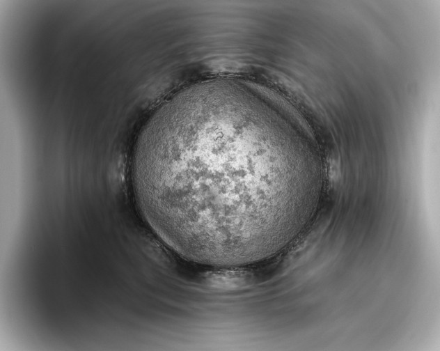 X0000096950567200802221324