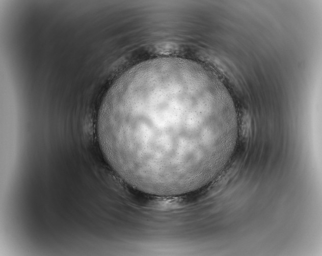 X0000096950569200802221324