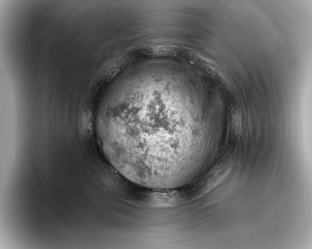 X0000096950571200802221324