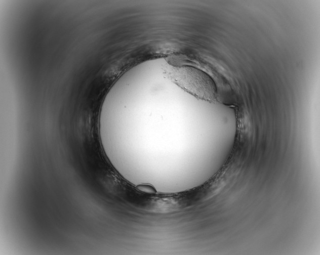 X0000096950572200802221324