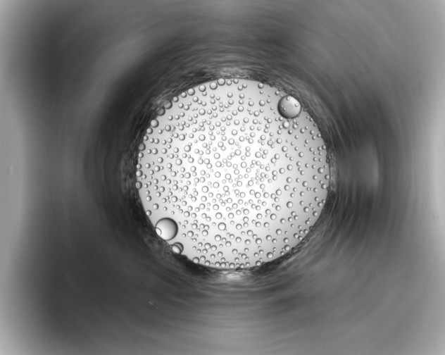 X0000096950573200802221324