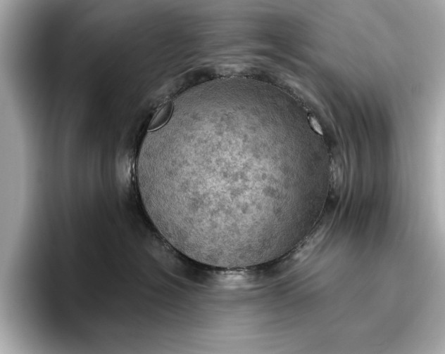 X0000096950574200802221324