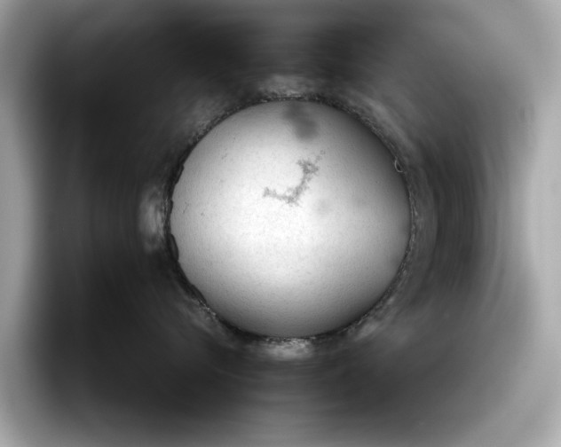 X0000096950576200802221324