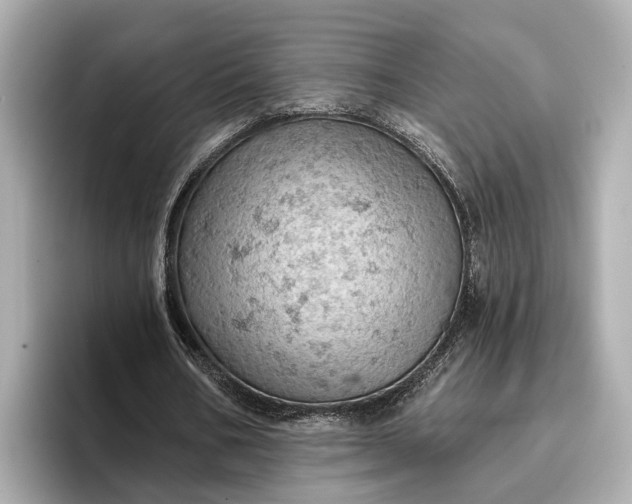 X0000096950578200802221324