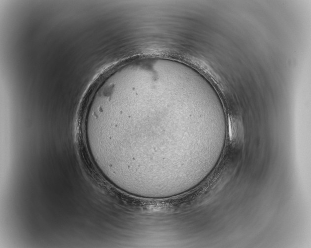 X0000096950579200802221324