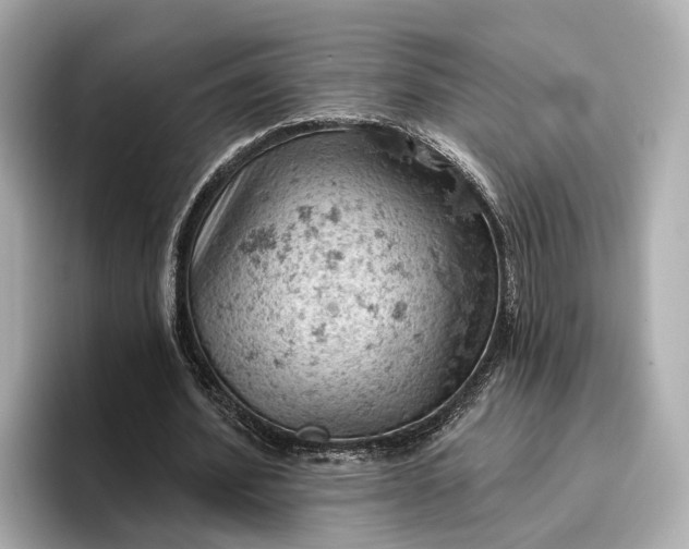 X0000096950580200802221324