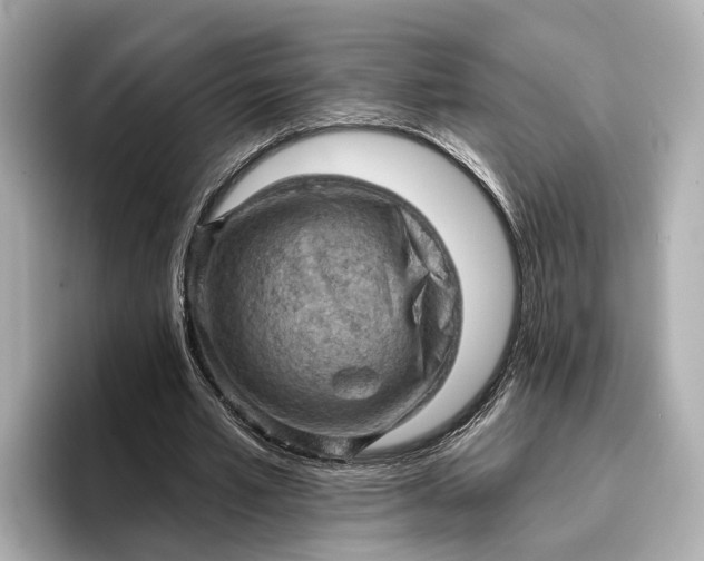 X0000096950581200802221324