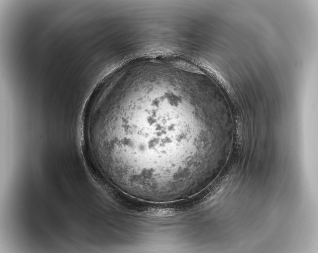 X0000096950582200802221324