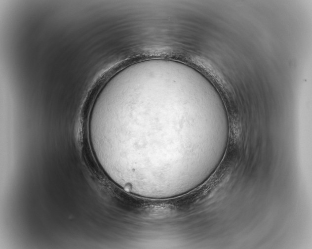 X0000096950583200802221324