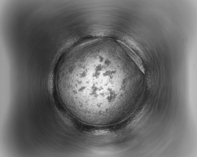 X0000096950586200802221324