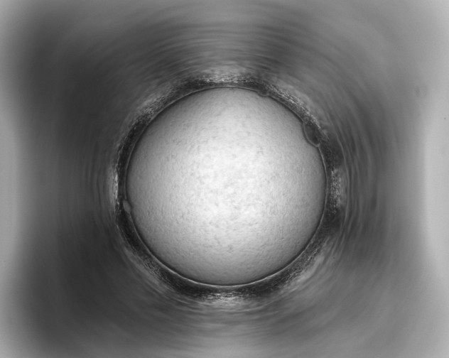X0000096950589200802221324