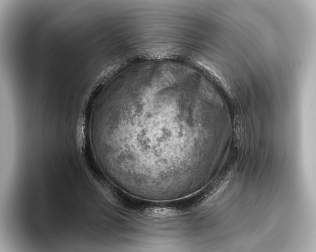 X0000096950590200802221324