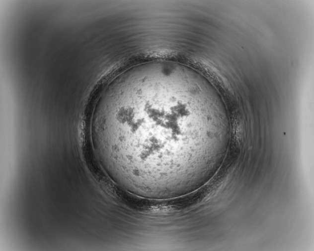 X0000096950591200802221324