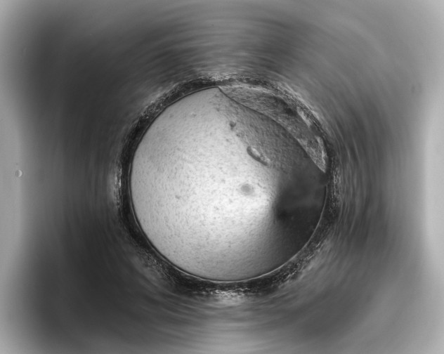 X0000096950592200802221324