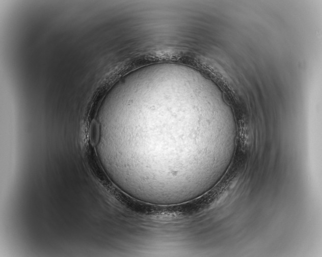 X0000096950593200802221324