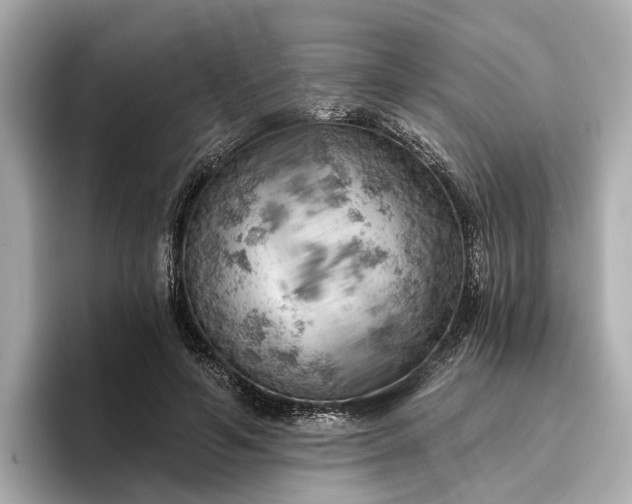 X0000096950594200802221324
