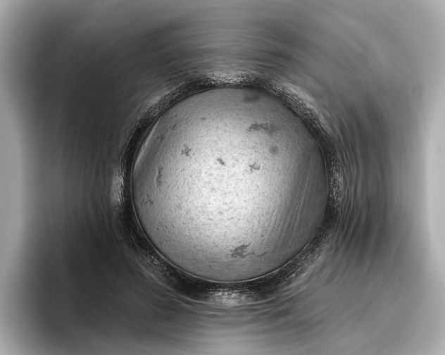 X0000096950596200802221324