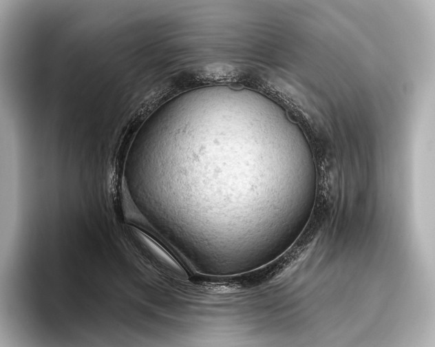 X0000096950597200802221324