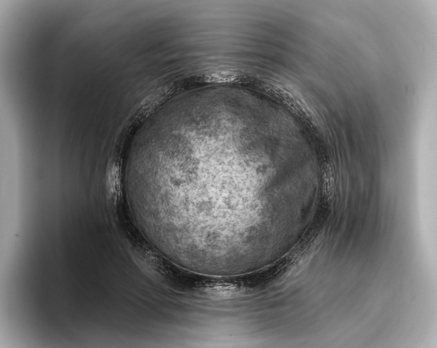 X0000096950598200802221324