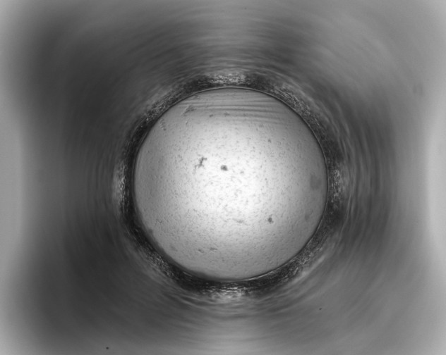 X0000096950600200802221324