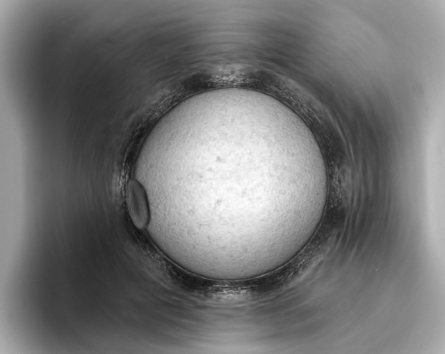 X0000096950601200802221323