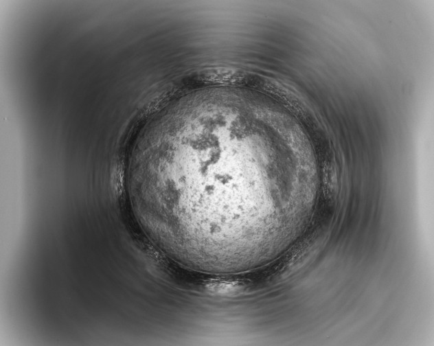 X0000096950602200802221323