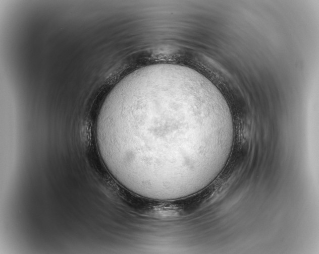 X0000096950603200802221323