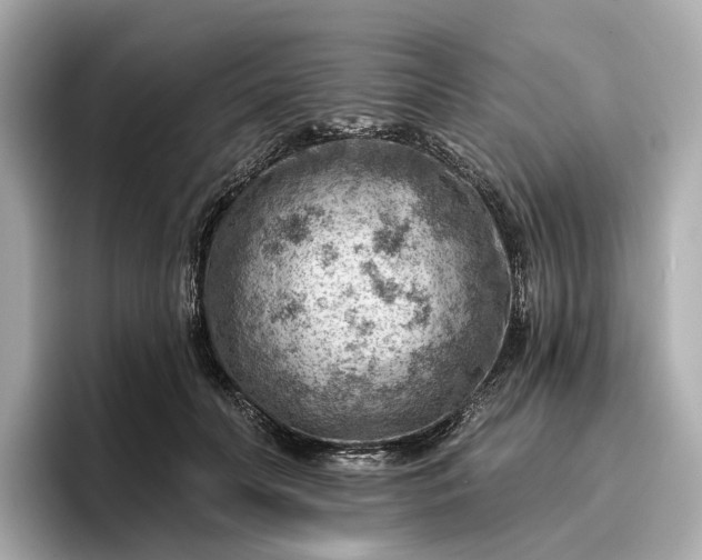 X0000096950606200802221323