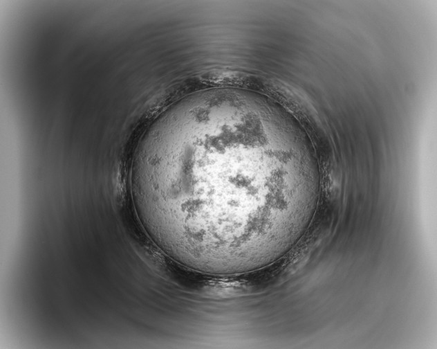X0000096950607200802221323