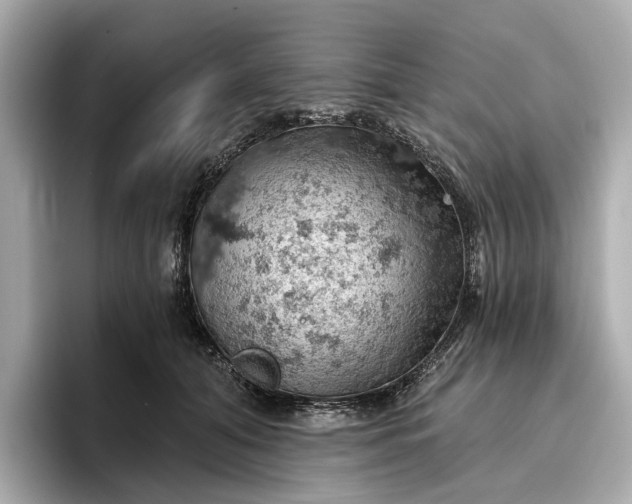X0000096950608200802221323