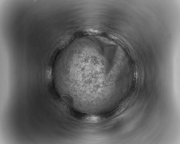 X0000096950610200802221323