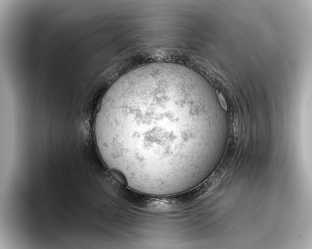 X0000096950611200802221323