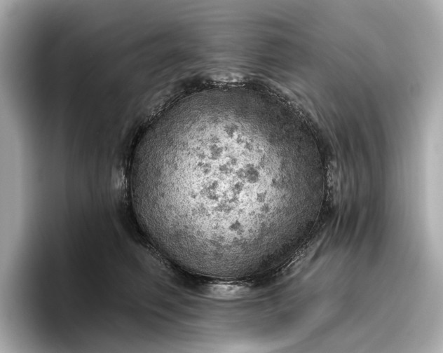 X0000096950614200802221323