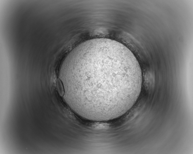 X0000096950617200802221323