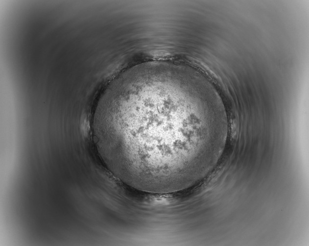 X0000096950618200802221323